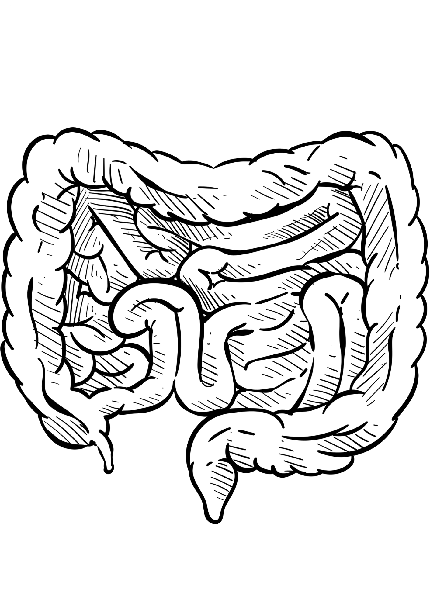 TeMaRo™ Intestines Tattoo Stickers