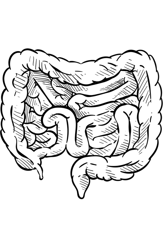 TeMaRo™ Intestines Tattoo Stickers