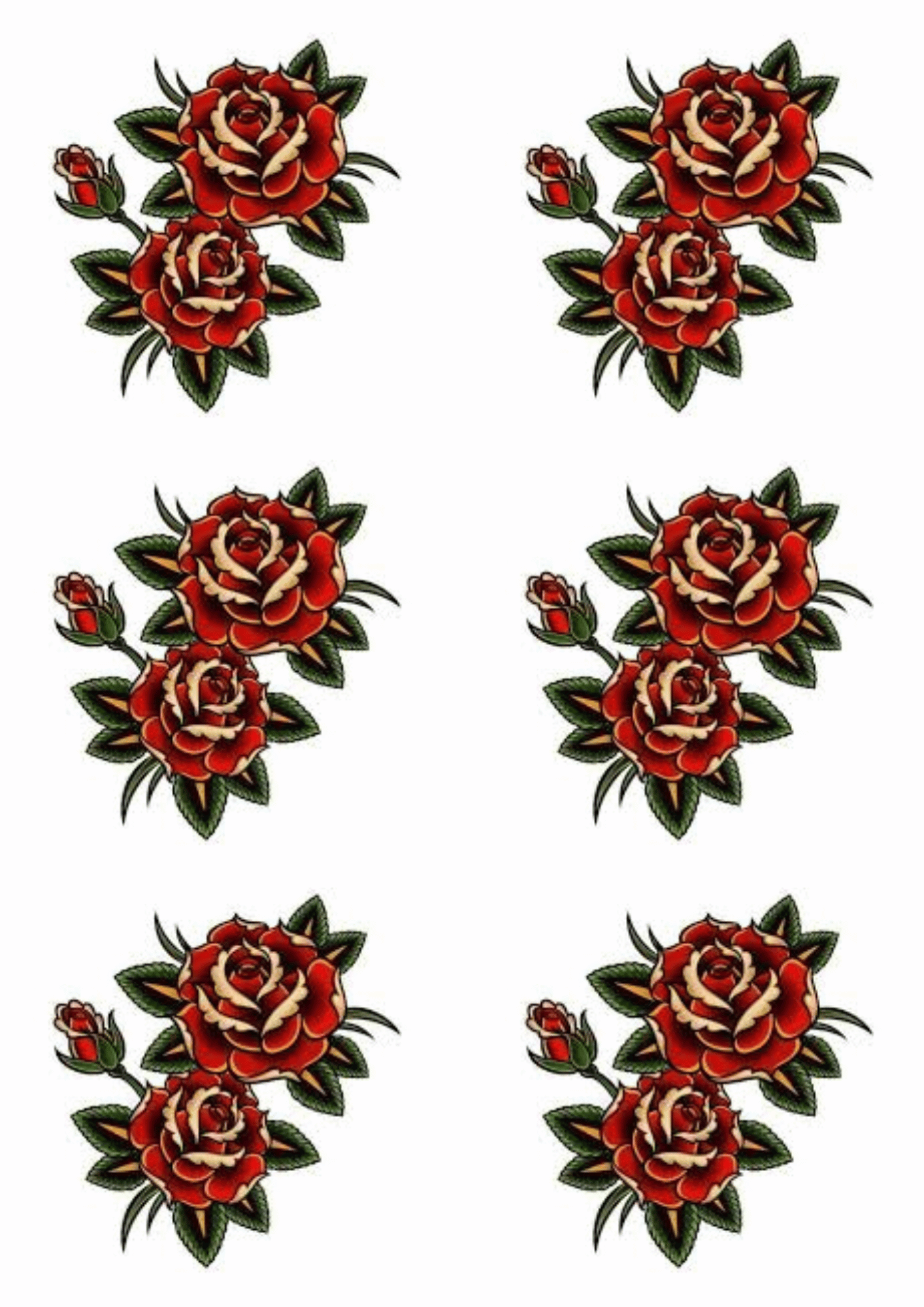 TeMaRo™ roses