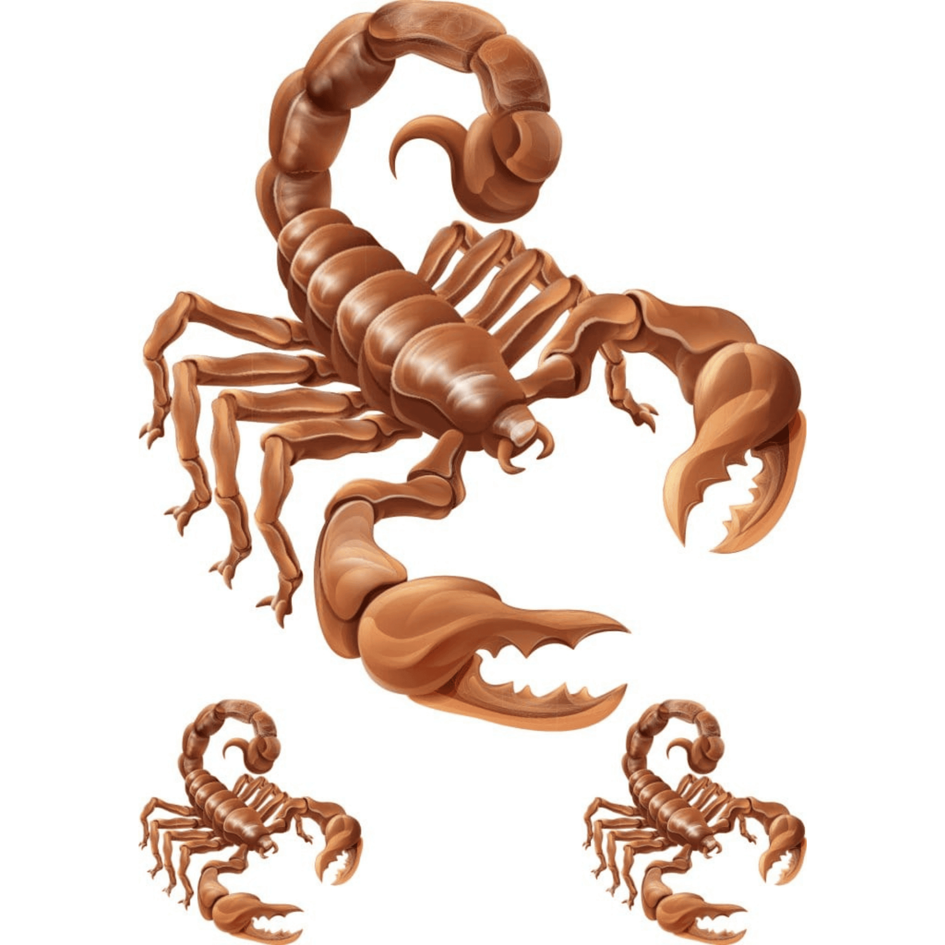 TeMaRo™ Scorpion Tattoo