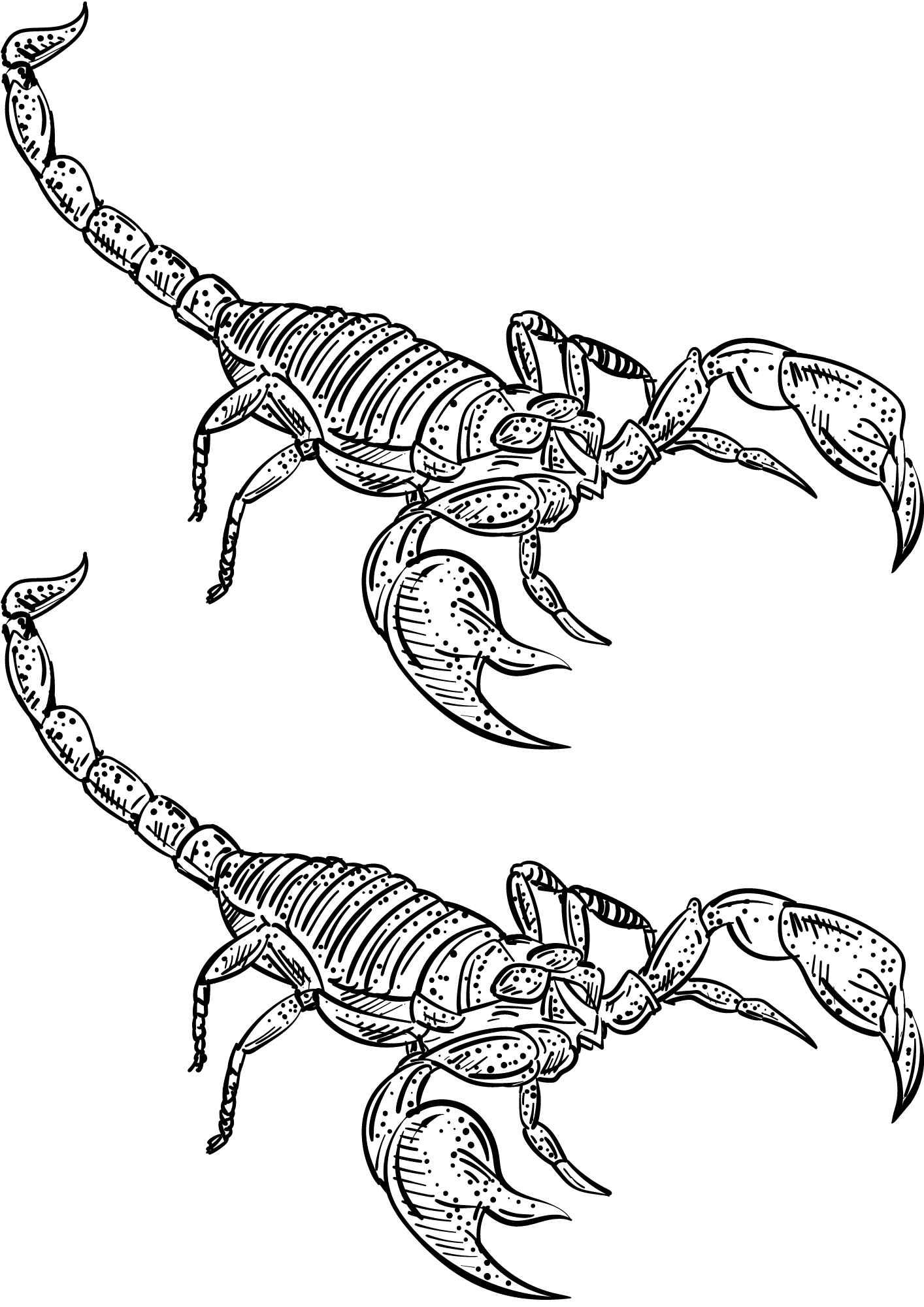 TeMaRo™ Scorpion Tattoo s Quality Designs