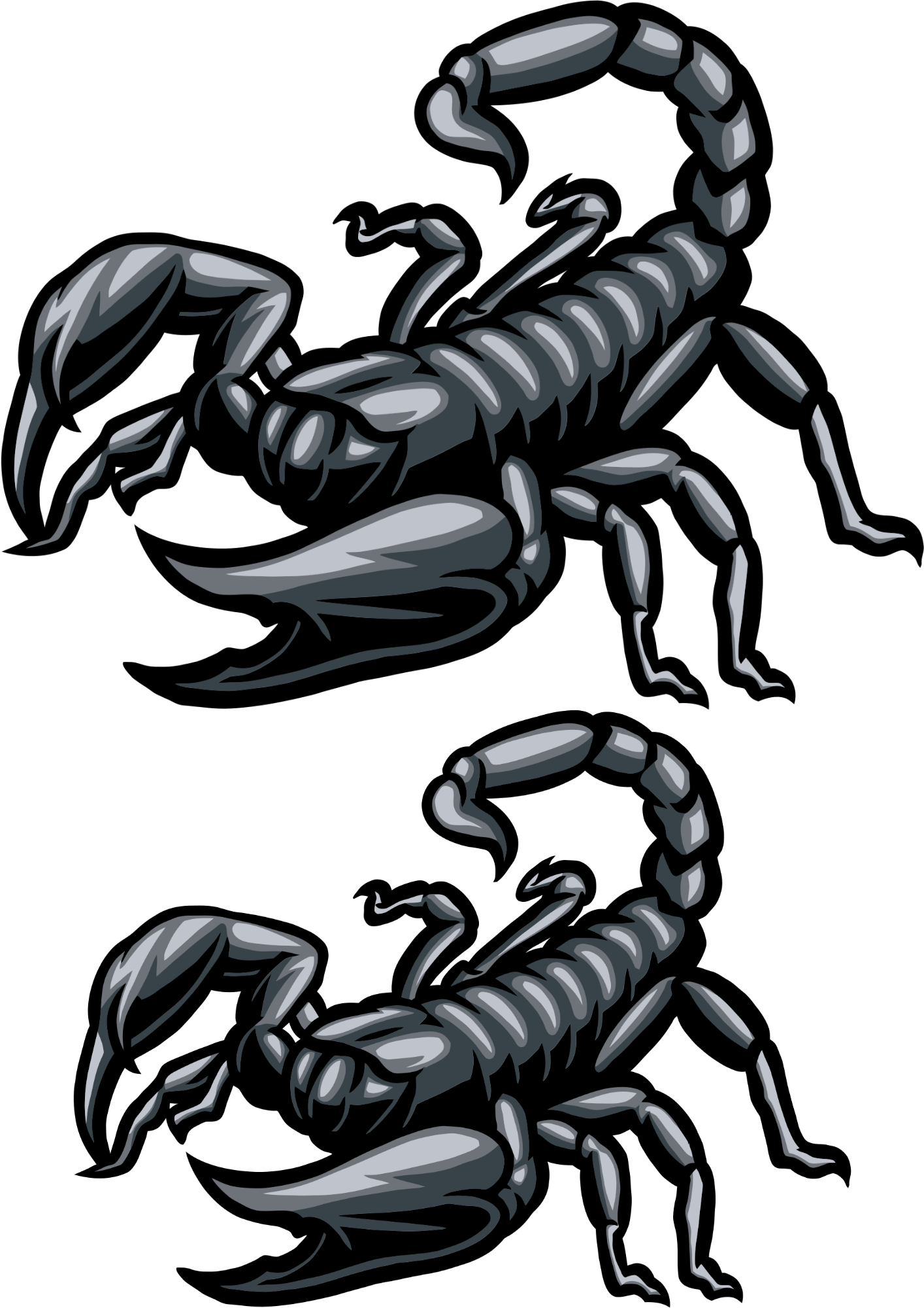 TeMaRo™ Scorpion Tattoo Simple