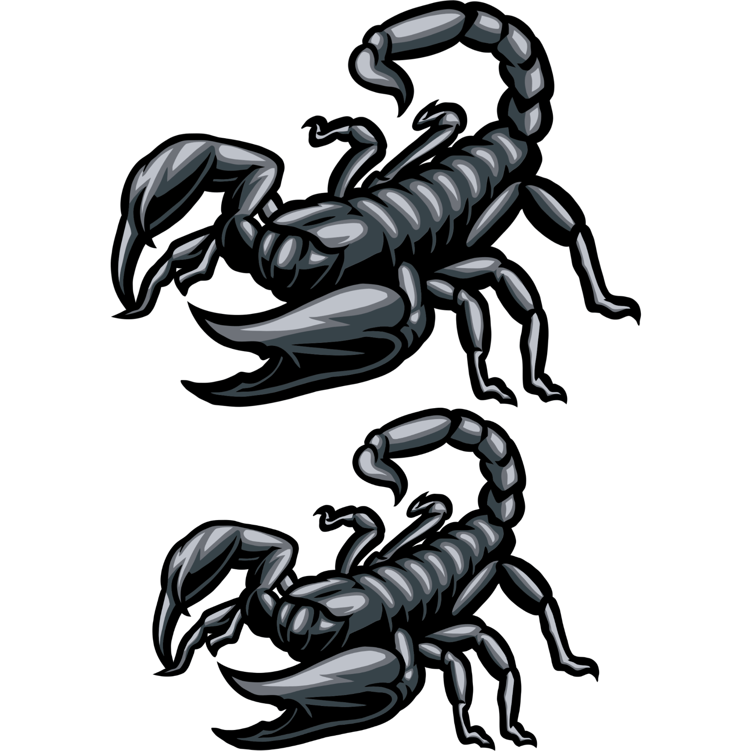 TeMaRo™ Scorpion Tattoo Simple