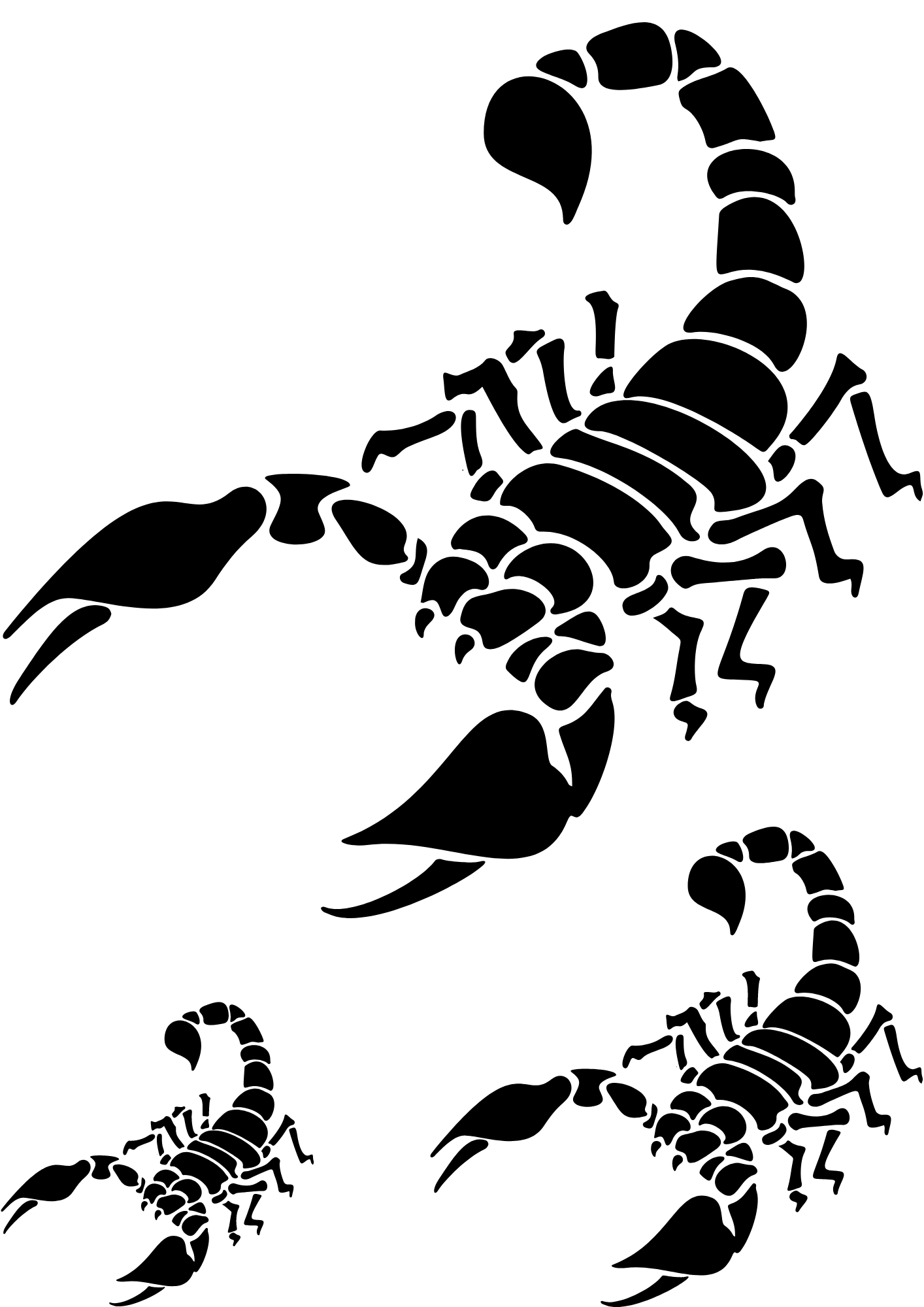 TeMaRo™ Scorpion Tatts Tattoo