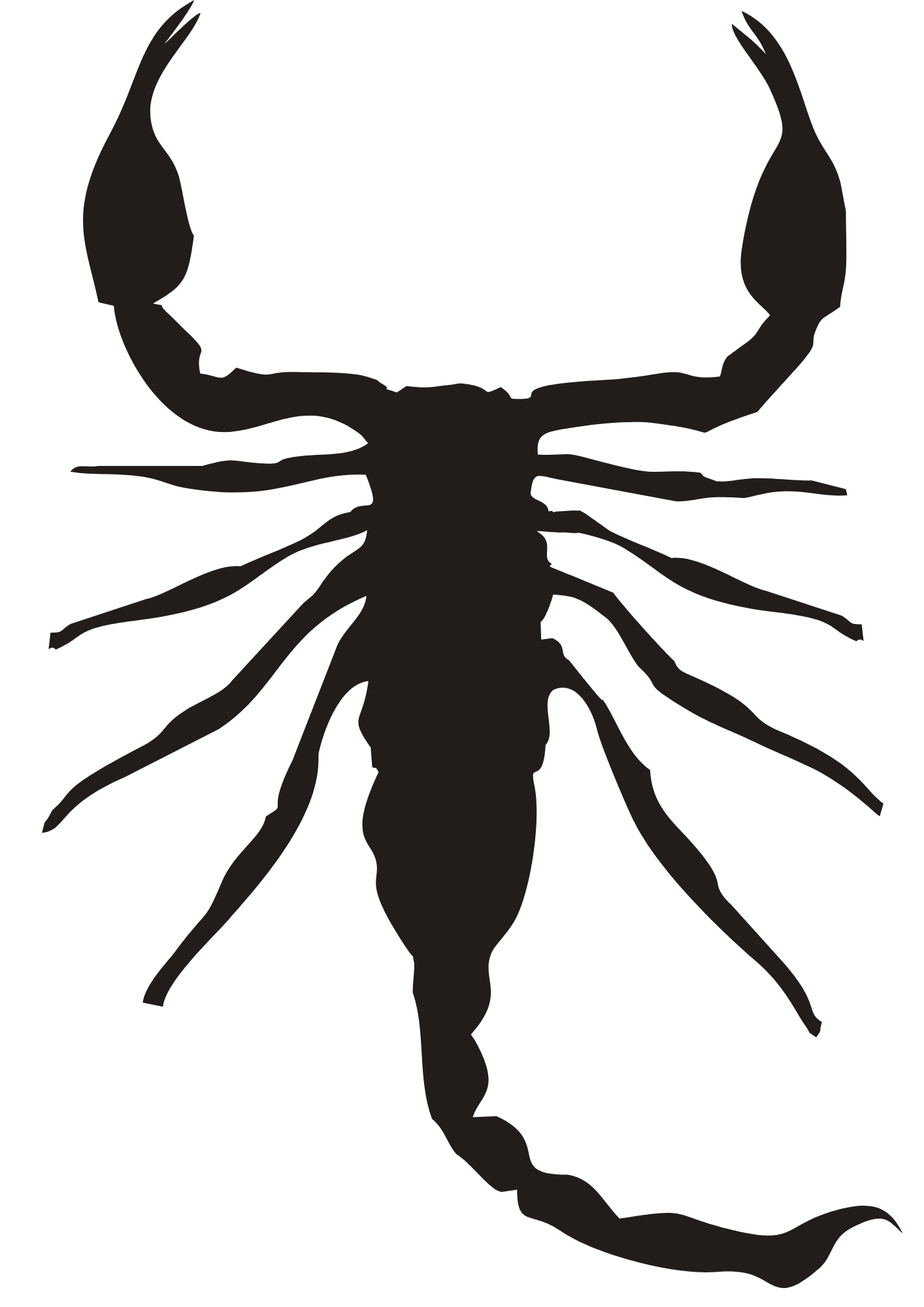 TeMaRo Scorpion Temporary Stickon Tattoos