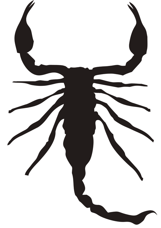 TeMaRo Scorpion Temporary Stickon Tattoos