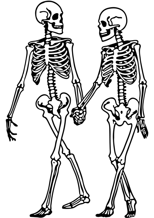 TeMaRo™ Skeleton couple tattoo sleeve