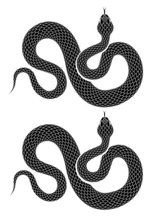 TeMaRo™ Snake Tattoos