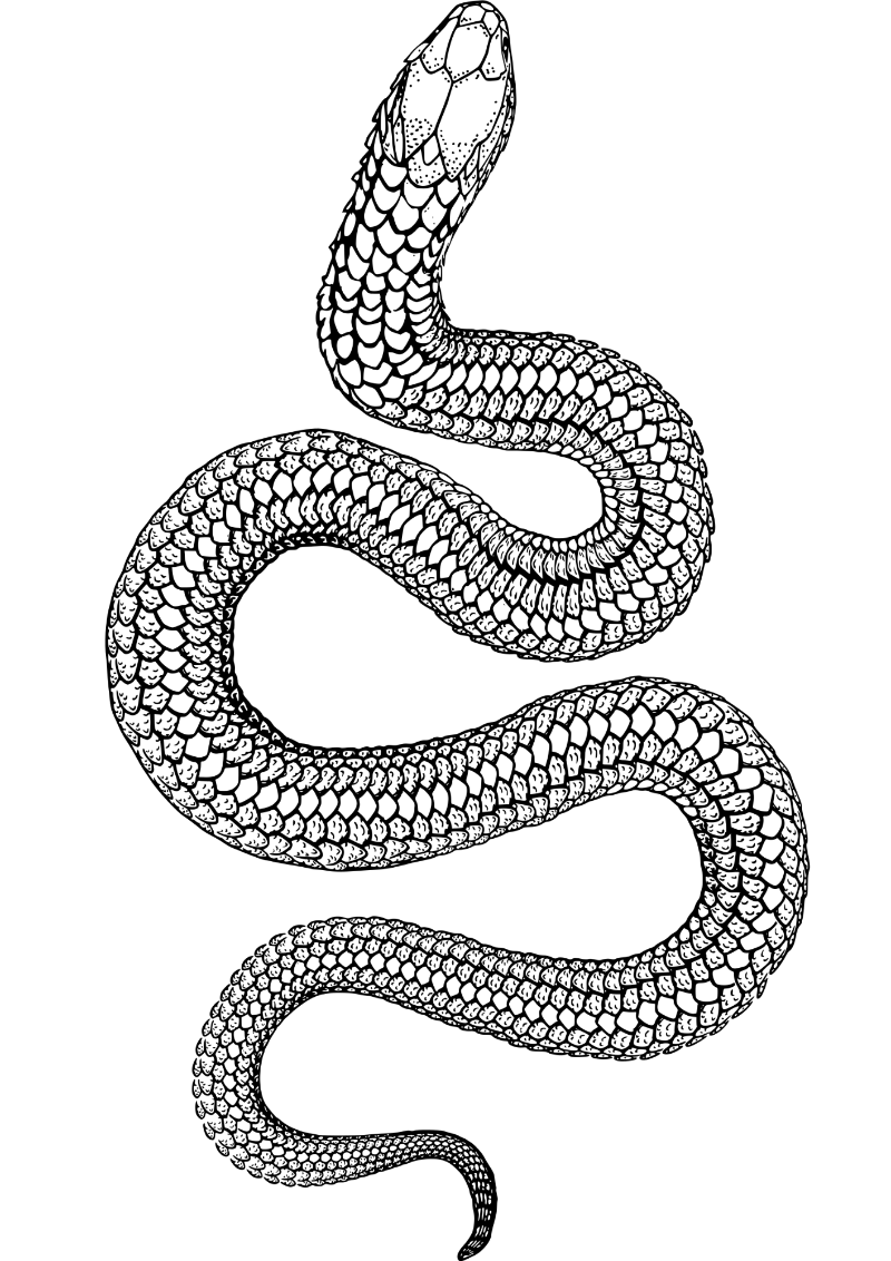 TeMaRo Snake Waterproof Temporary Tattoo Stickers Near Me