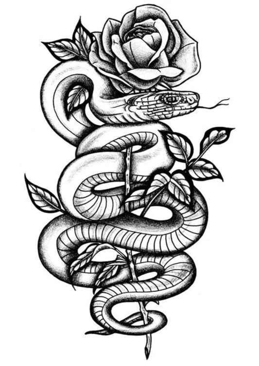 TeMaRo™ Snakes and Roses Tattoo