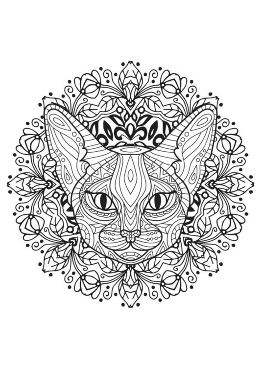 TeMaRo™ Tattoo Temporary Tattoo - Cat