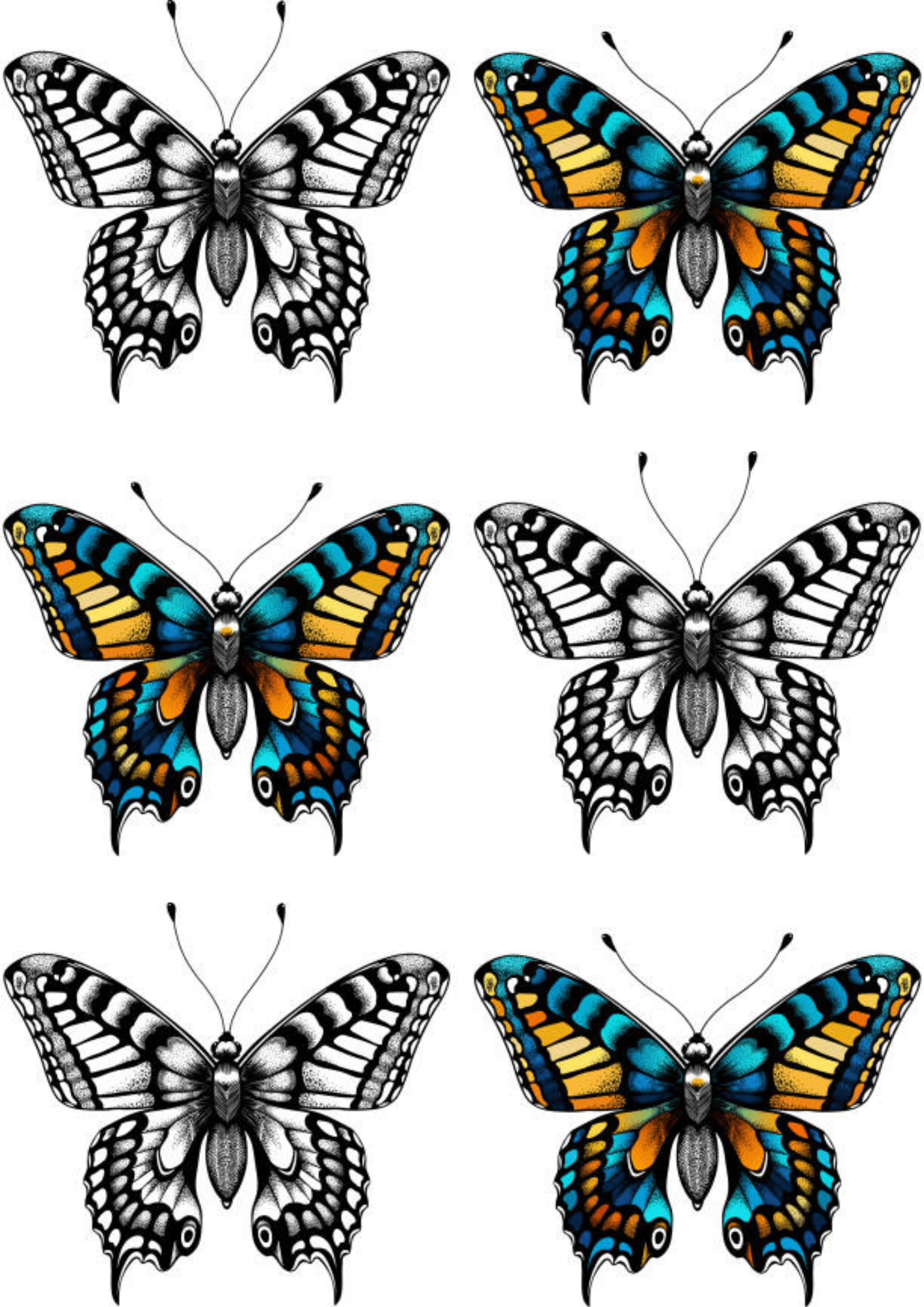 TeMaRo™ Temporary Butterfly Tattoo - Six Pack