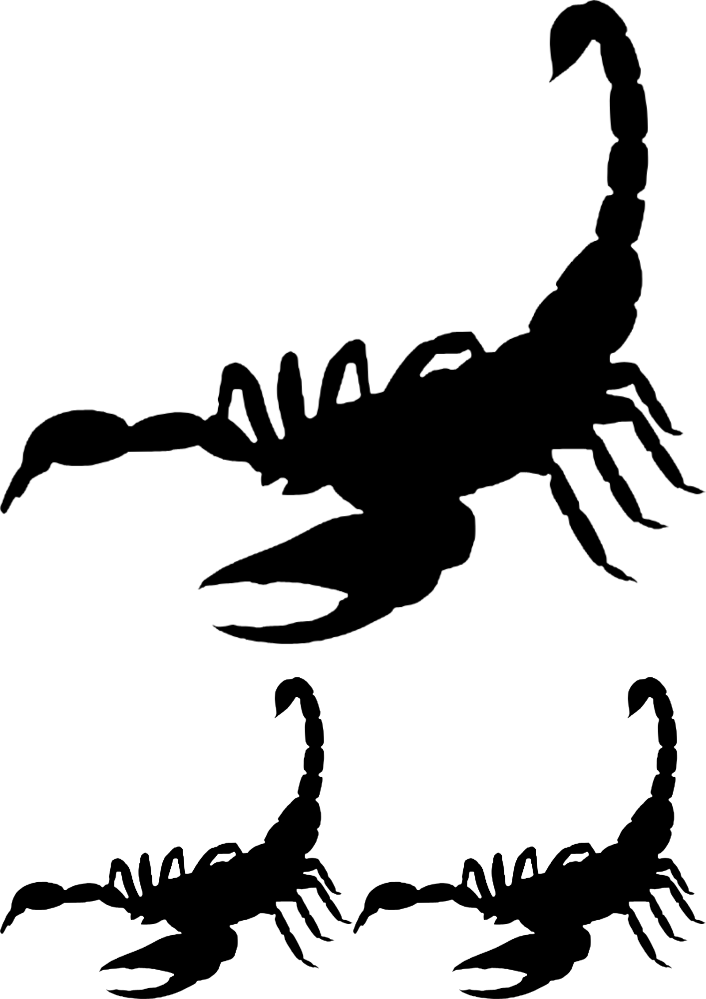 TeMaRo™ Temporary Tattoo Stickers - Scorpion