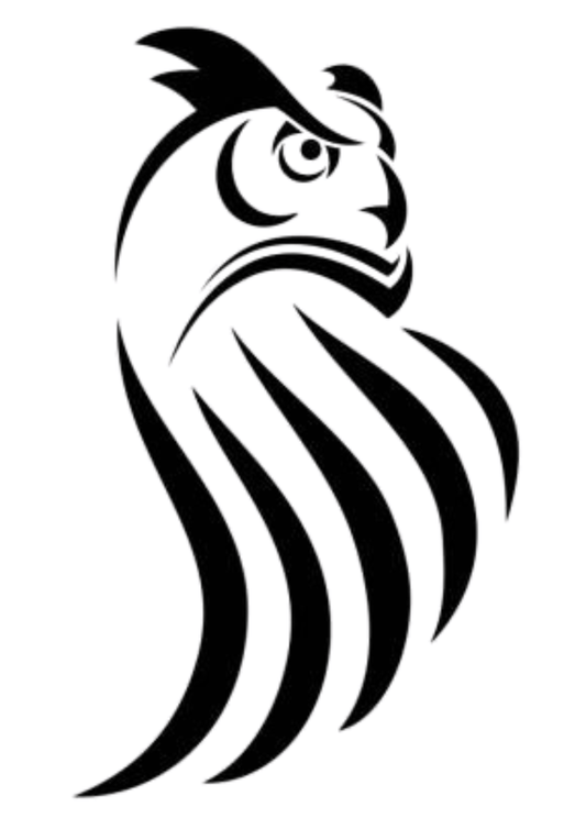 TeMaRo™ Tribal Tattoo Designs for Arms - Owl