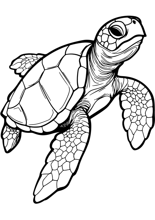 TeMaRo™ Turtle Tattoo Ideas for Guys