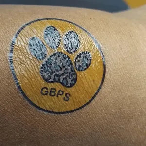 Paw print temporary tattoo with 'GBPS' on a person's arm