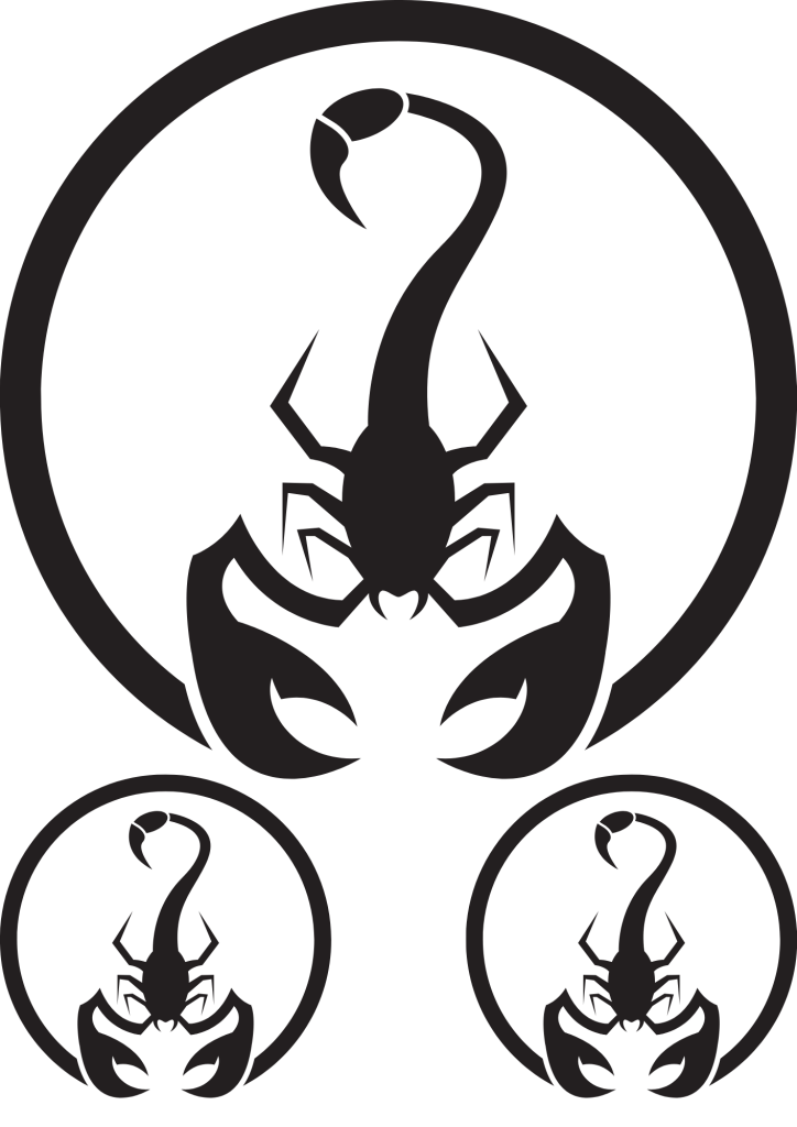 Temporary Tattoos Waterproof - Scorpion - TeMaRo™