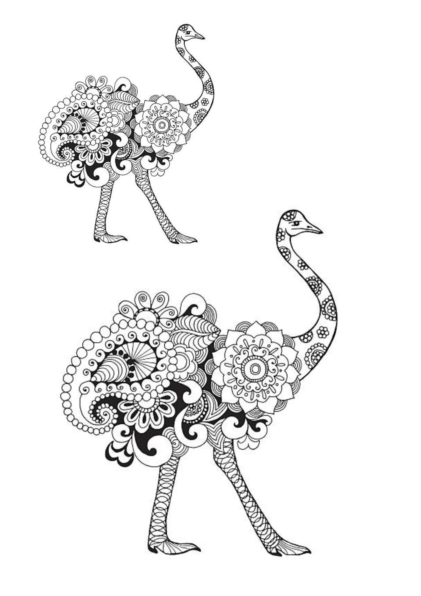 Custom Temporary Tattoo - Ostrich