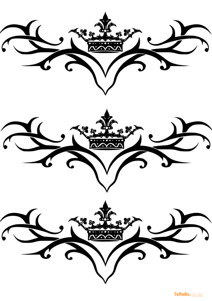 Tribal Tattoo Men Arm - TeMaRo™