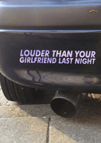 Vinyl Stickers Decals - Vehicle Decor (30X7cm) - TeMaRo™