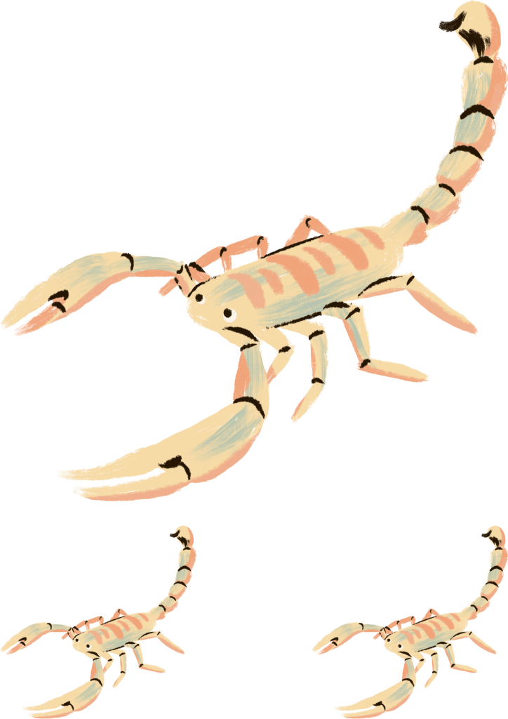 Waterproof Tatoo Stickers - TeMaRo™